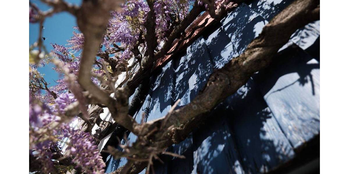 Reihenendhaus Wiesloch - 6 Zimmer, 168 m&sup2;, 525.000&euro; | Angebot:26261486