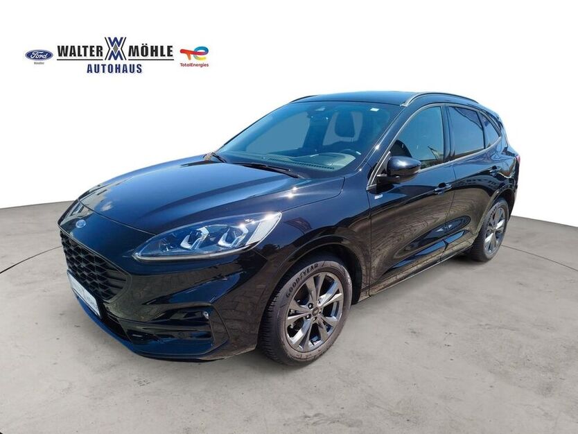 Kuga