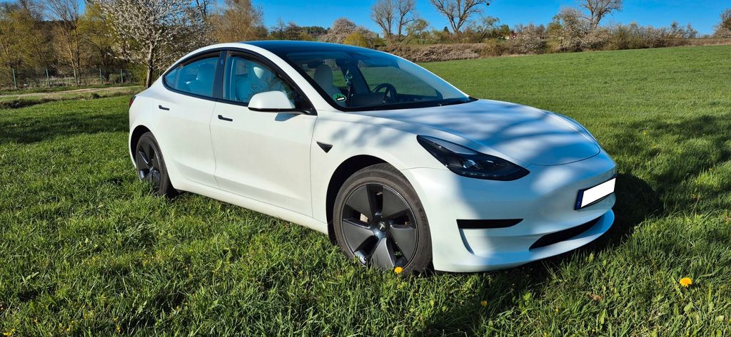 Tesla Model 3 49.500 km 26.999 &euro; Themar 98660