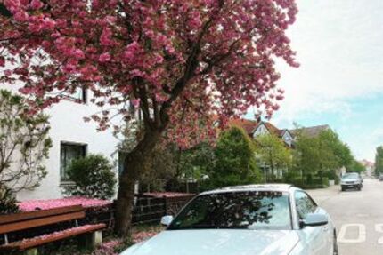 Audi A5 250.000 km 19.900 € Freisingt 85356