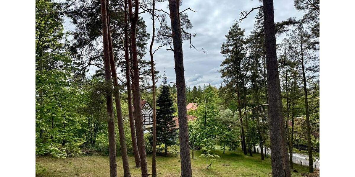 Einfamilienhaus Hitzacker (Elbe) - 7 Zimmer, 236 m&sup2;, 559.000&euro; | Angebot:26874570