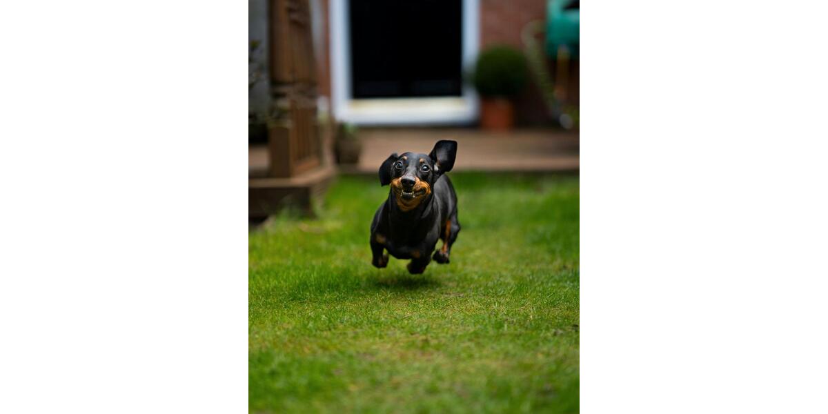 Einfamilienhaus Bissendorf - 5 Zimmer, 136 m&sup2;, 1.450&euro; | Angebot:24654260