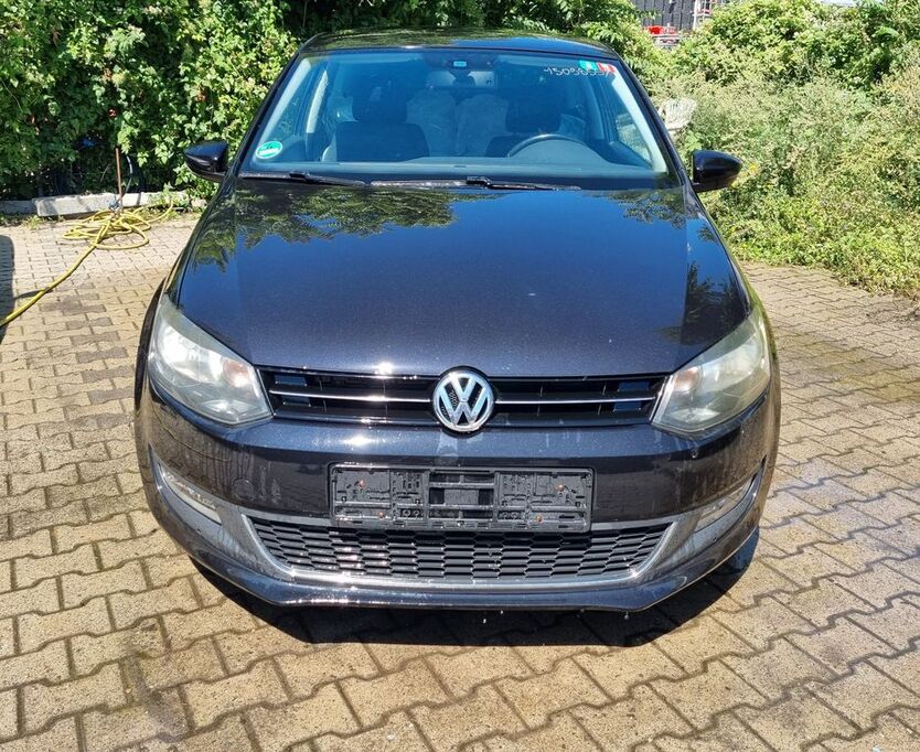 Polo