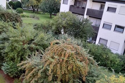Wohnung Bad Füssing - 1 Zimmer, 29 m&sup2;, 81.000&euro; | Angebot:27002265