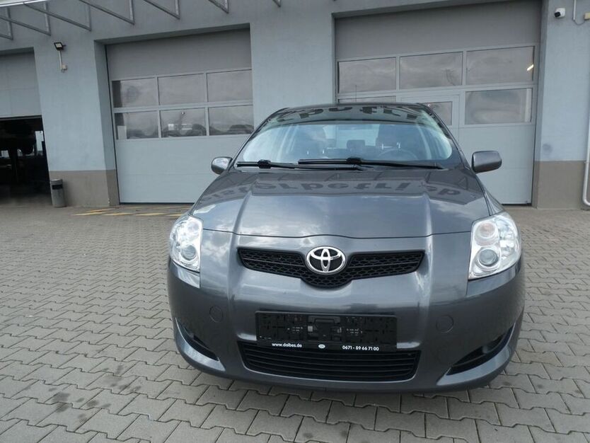 Auris