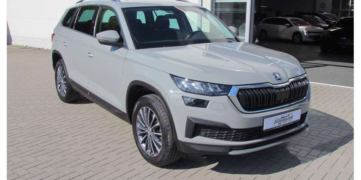 Skoda Kodiaq 70.410 km 30.550 &euro; Dippoldiswalde 01744