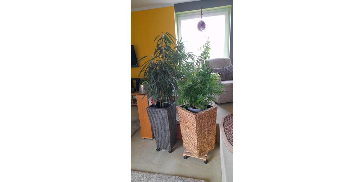 Etagenwohnung Bad Lauterberg im Harz - 3 Zimmer, 80 m&sup2;, 121.000&euro; | Angebot:26602971
