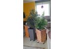 Etagenwohnung Bad Lauterberg im Harz - 3 Zimmer, 80 m&sup2;, 121.000&euro; | Angebot:26602971