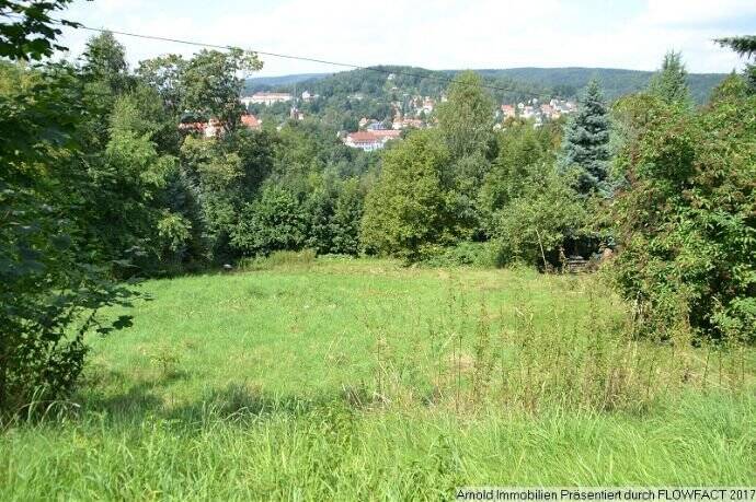 Grundstück Sebnitz - 18.000&euro; | Angebot:25748988