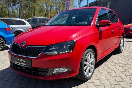 Skoda Fabia 59.000 km 10.290 &euro; Wendelstein 90530