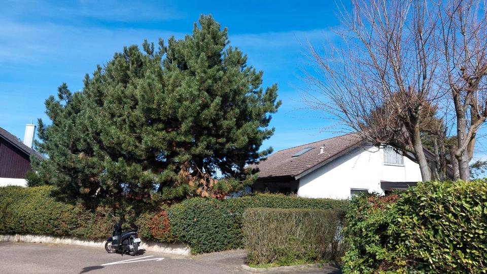 Einfamilienhaus Baden-Baden Balg - 8 Zimmer, 215 m&sup2;, 500.000&euro; | Angebot:26953231