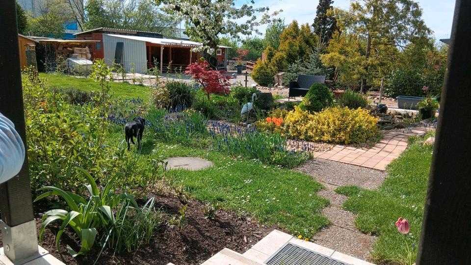 Wochenendgrundstück in Markranstädt 3 zimmer