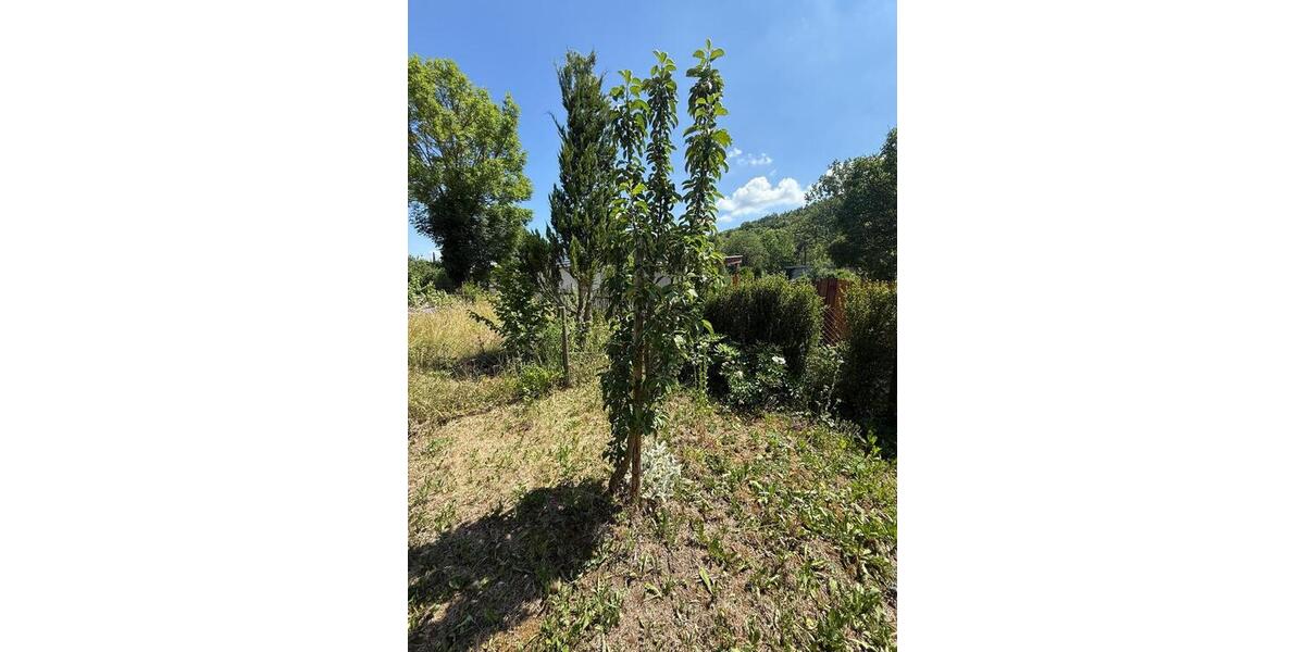 Grundstück Arnstadt - 500&euro; | Angebot:26062088