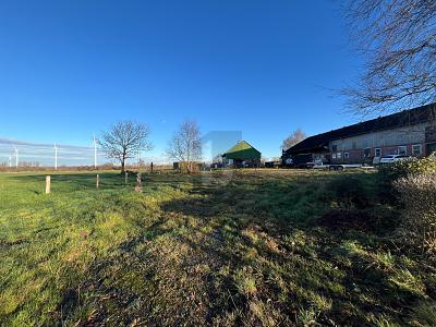 BAUEN IN RUHIGER UND NATÜRLICHER LAGE - Grundstück Steenfeld | Angebot:25412704