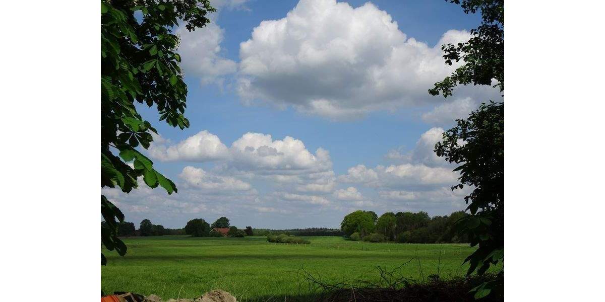 Mehrfamilienhaus, Wohnhaus Beverstedt Bokel - 9 Zimmer, 268 m&sup2;, 428.000&euro; | Angebot:25694308