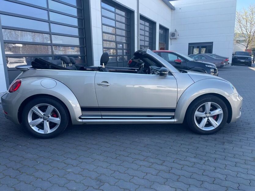 Beetle