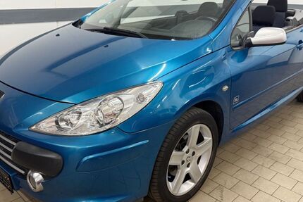 Peugeot 307 296.000 km 1.490 &euro; Schmelz 66839