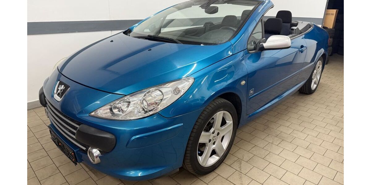 Peugeot 307 296.000 km 1.490 &euro; Schmelz 66839