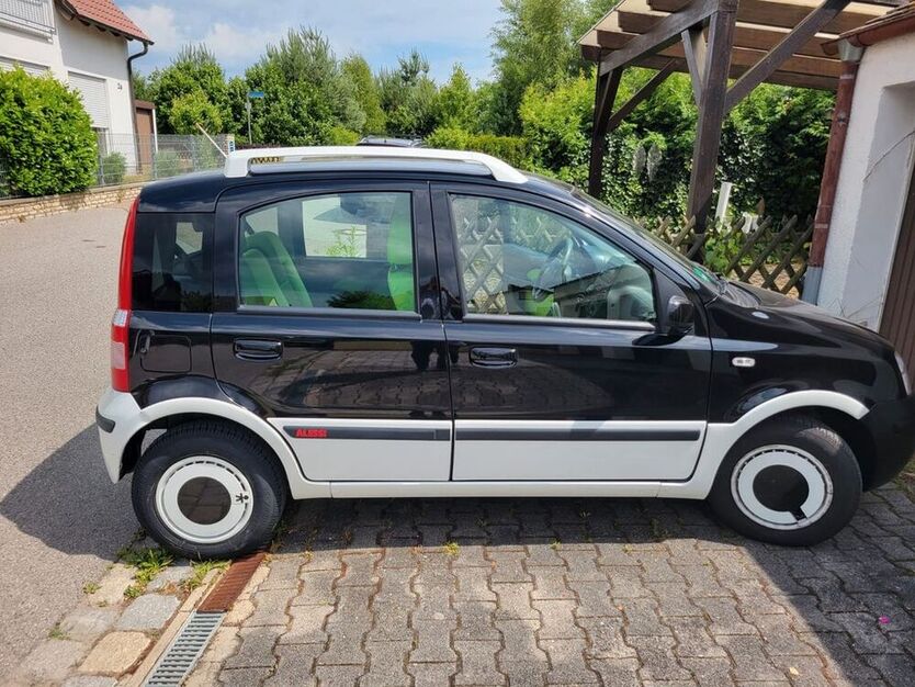 Panda