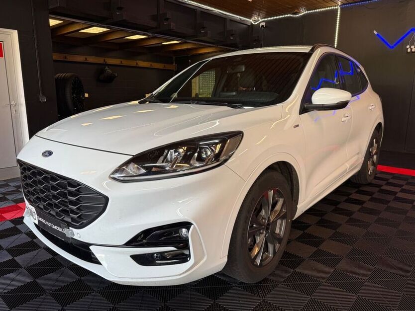 Kuga