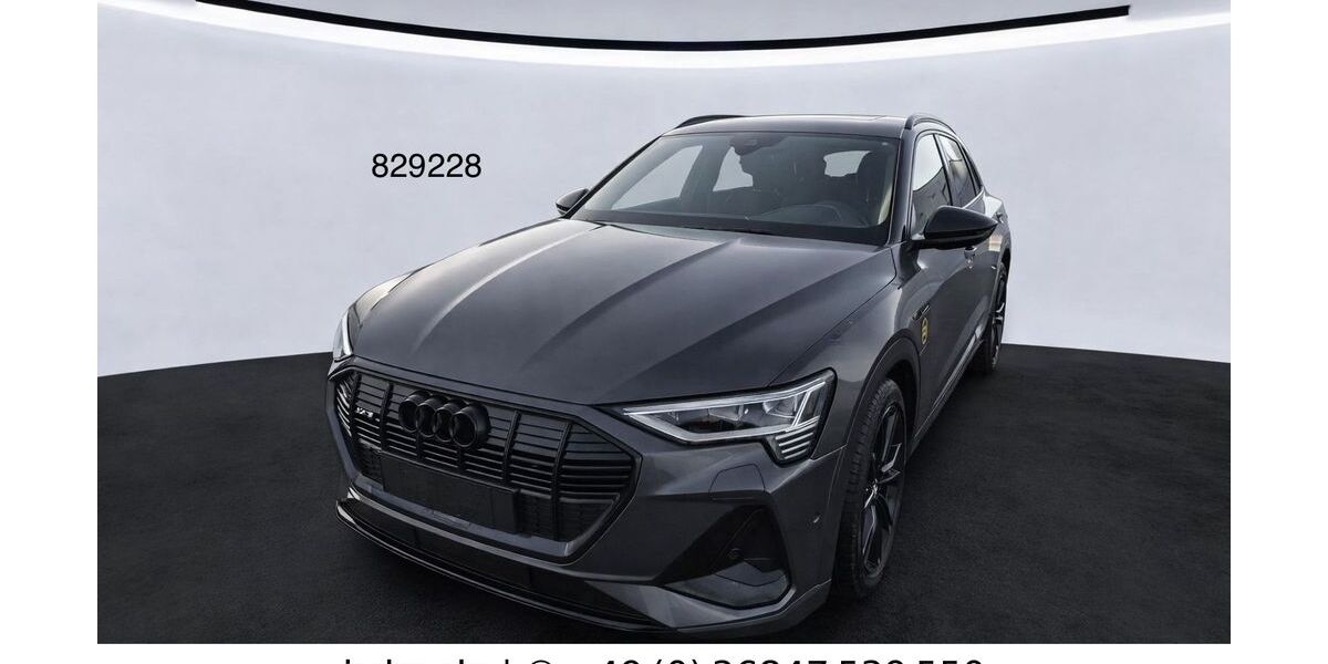 Audi e-tron 68.300 km 29.750 &euro; Steinbach-Hallenberg OT Herges-Hallenberg 98587