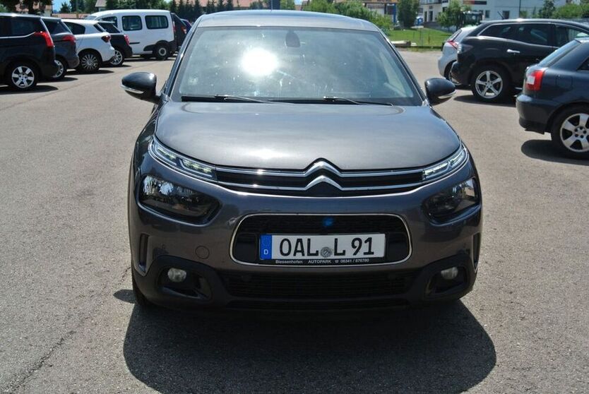 C4 Cactus