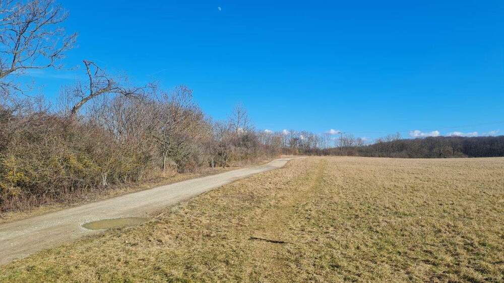 Grundstück Ziegenhain Ziegenhain - 6.400&euro; | Angebot:25772033