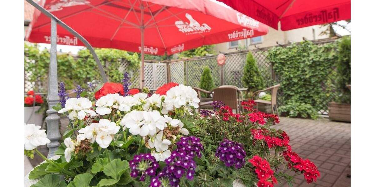 Gewerbeobjekt Elbingerode Elbingerode - 790.000&euro; | Angebot:25674074