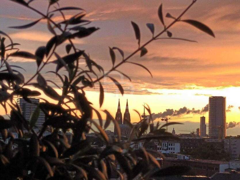 Wohnen mit Perspektive - der Dom stets im Blick 2 zimmer
