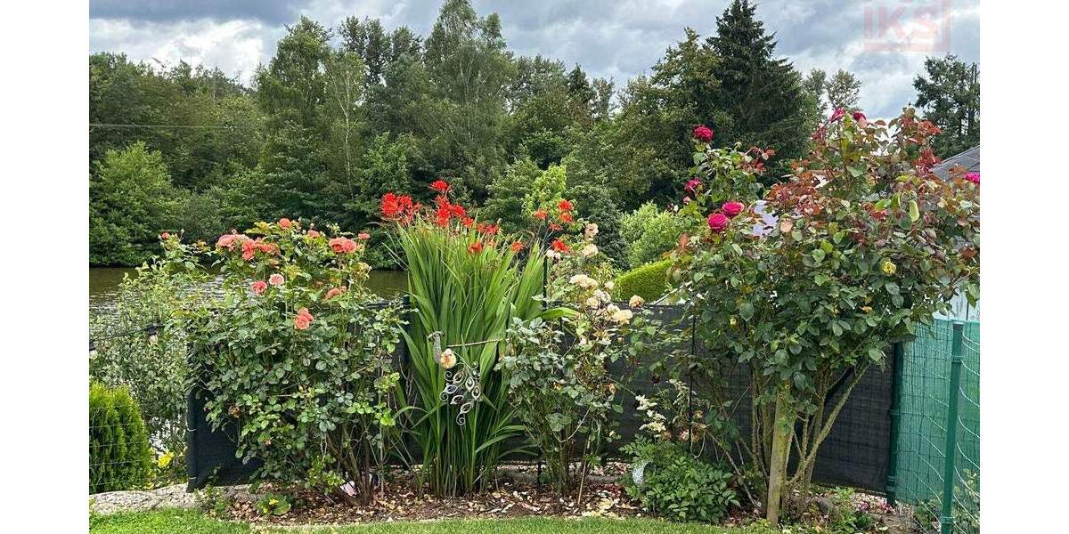 Einfamilienhaus Weiskirchen Thailen - 2 Zimmer, 64 m&sup2;, 250.000&euro; | Angebot:25835445