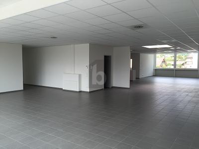 REPRÄSENTATIVE RÄUME MIT LAGEROPTION - Gewerbeobjekt Lörrach | Angebot:26230267