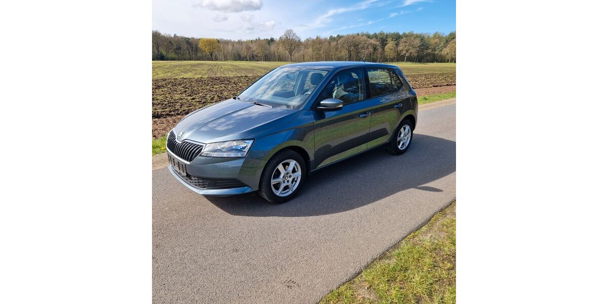 Skoda Fabia 34.988 km 9.400 &euro; Meppen 49716