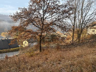 BAUAREAL IN NATURNAHER LAGE - Grundstück Bad Berneck im Fichtelgebirge | Angebot:26162288