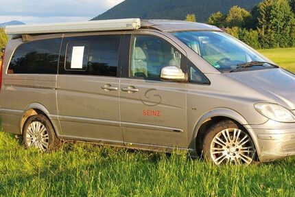 Mercedes Viano