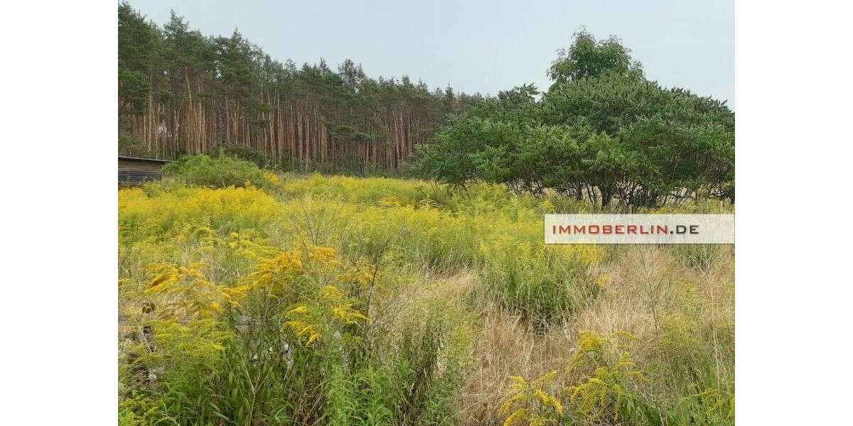 Grundstück Kablow Kablow - 330.000&euro; | Angebot:27108058