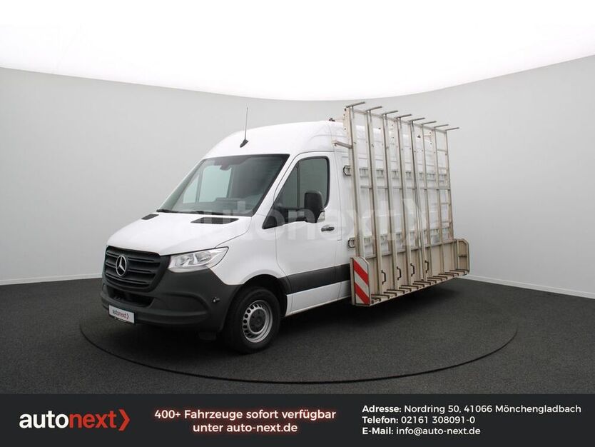 Sprinter