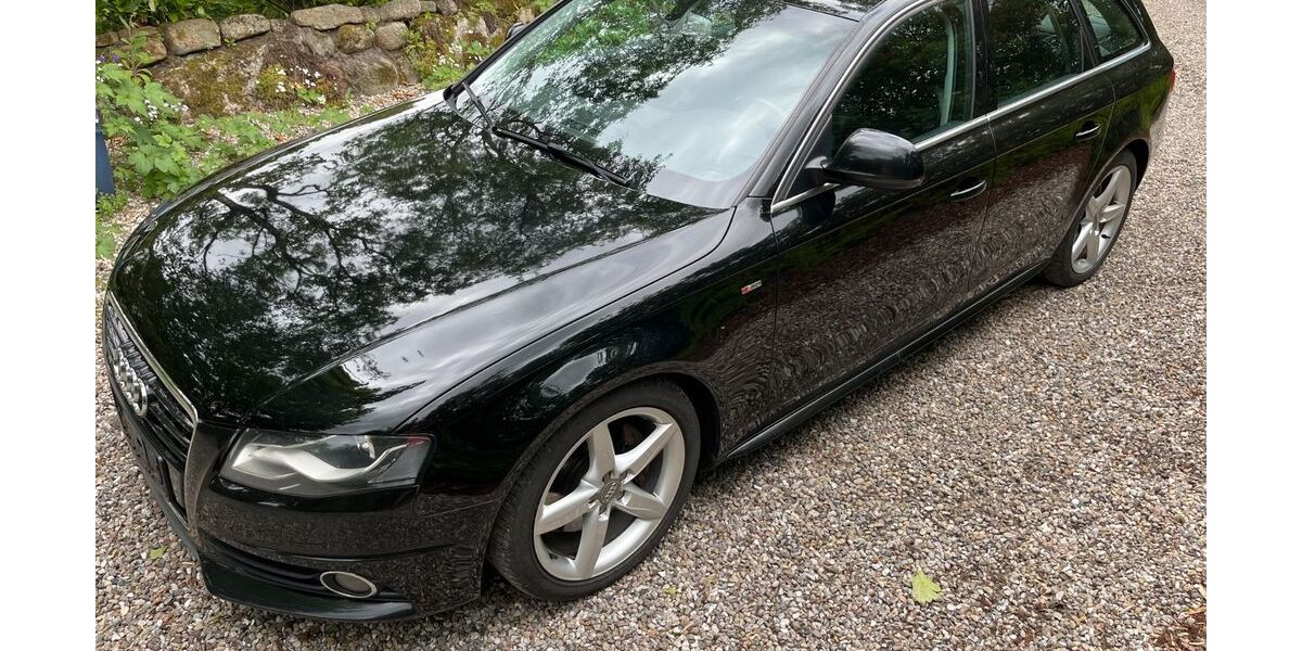 Audi A4 335.000 km 5.500 &euro; Havetoft 24873