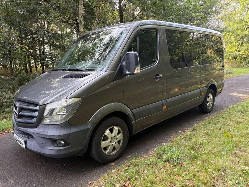 Sprinter