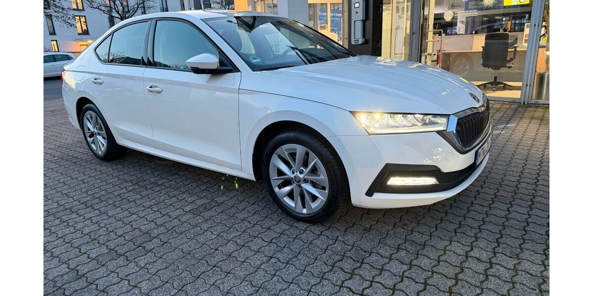 Skoda Octavia 43.500 km 22.400 &euro; Kelsterbach 65451
