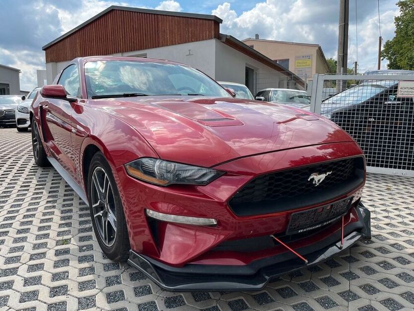 Mustang