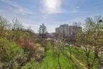 Sonnenbergareal - Urbane Wohnqualität mit Nahversorgung - Lebensqualität auf den Punkt gebracht