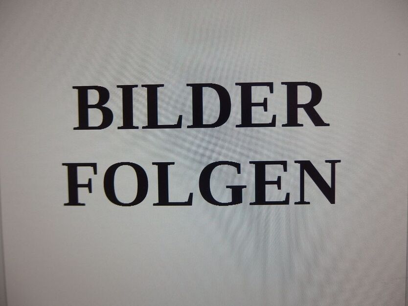 VW Tiguan 21.800 km 22.500 € Bad Breisig 53498