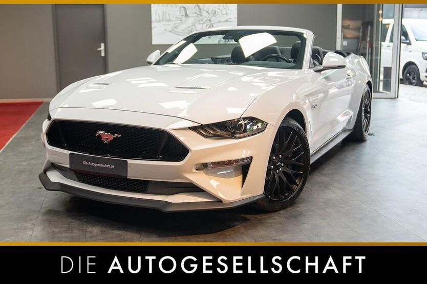 Mustang
