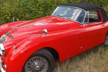 Jaguar XK 69.614 km 119.850 € Mettmann 40822