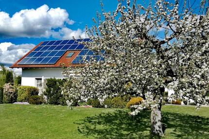 Schöne Wohnung im Golf und Bäderdreieck zimmer