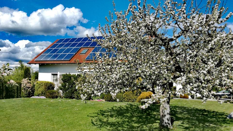 Schöne Wohnung im Golf und Bäderdreieck zimmer