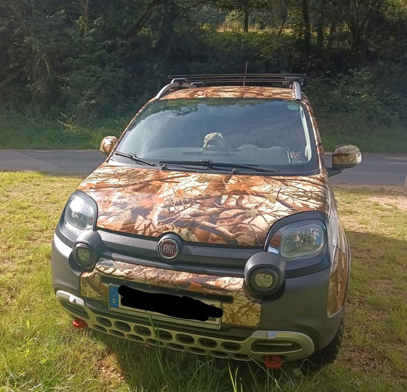 Panda