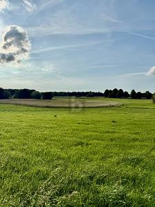 RUHE TRIFFT GRENZENLOSEN WEITBLICK - Grundstück Passee | Angebot:27119544