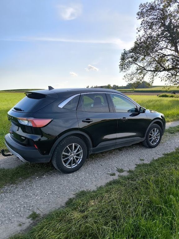 Kuga