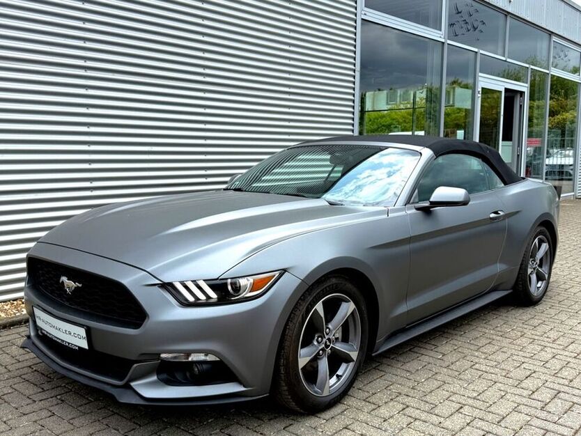 Mustang